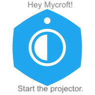 project name